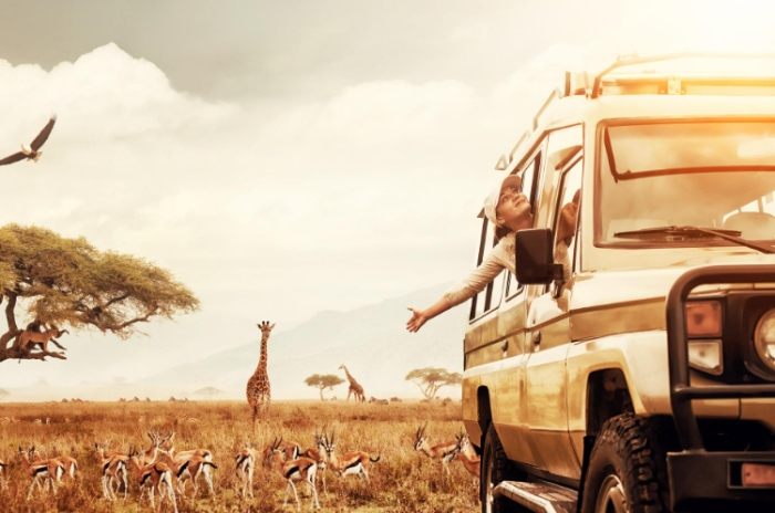 肯亞行李清單 肯亞行李清單