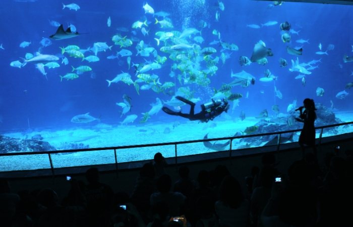 高雄親子旅遊 高雄親子旅遊