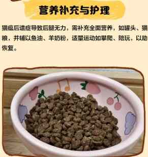貓瘟後遺症 貓瘟後遺症