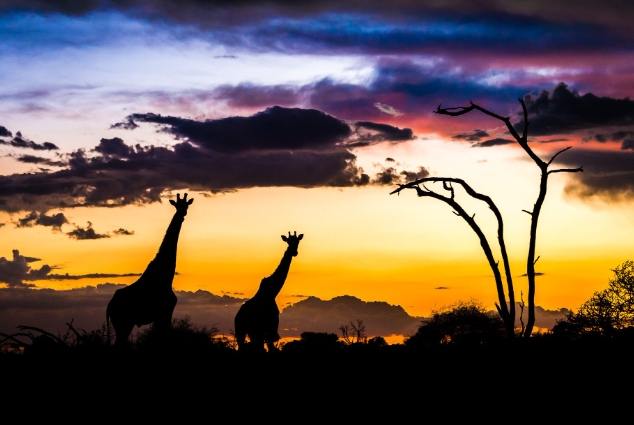 非洲氣候指南 非洲氣候指南