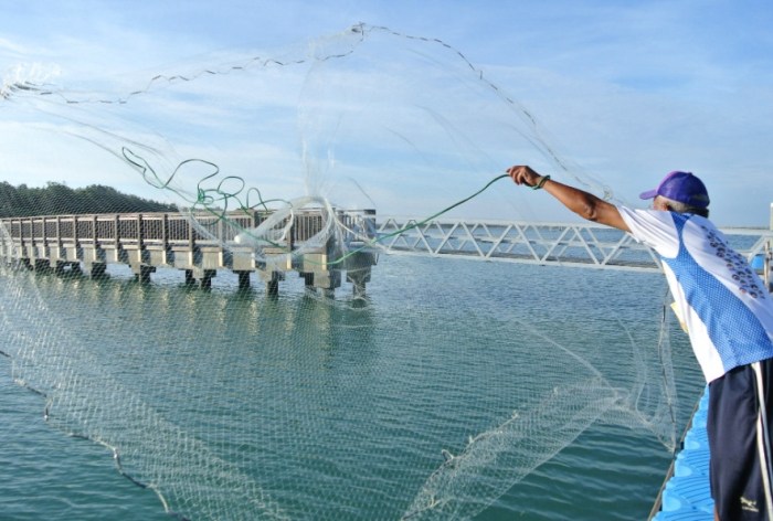 龍山號比較 龍山號比較