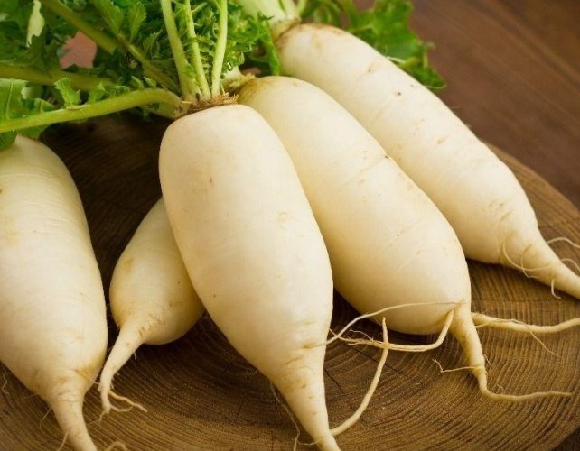 白蘿蔔化痰功效