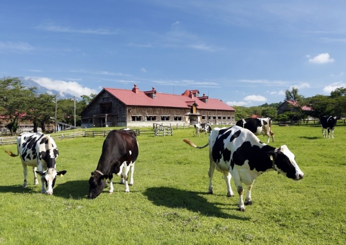 三峽親子農場推薦