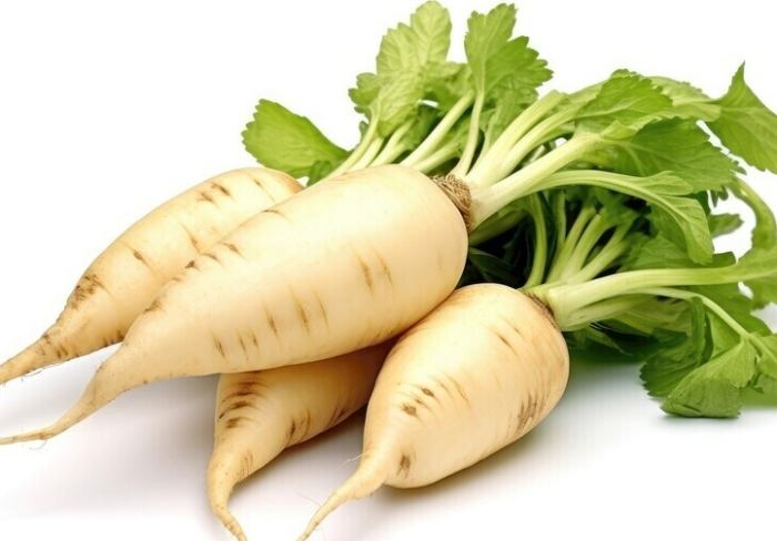 夏天吃薑冬天吃蘿蔔好處