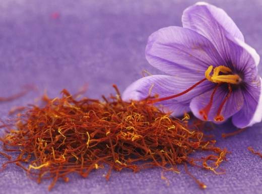 番紅花副作用