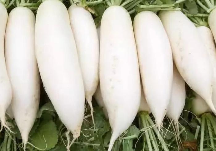 季節飲食健康法