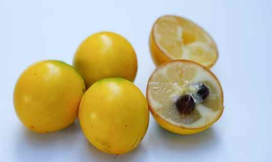 糖尿病吃黃金果 糖尿病吃黃金果
