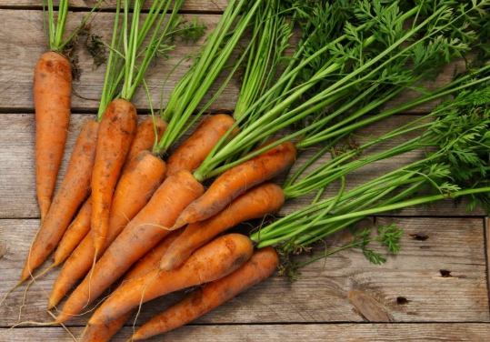 如何挑選紅蘿蔔