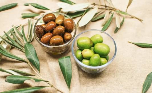 橄欖油健康影響