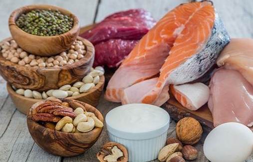 老年人蛋白質攝取