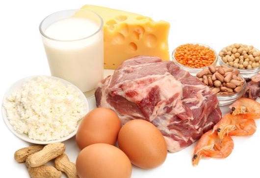 老年人蛋白質攝取
