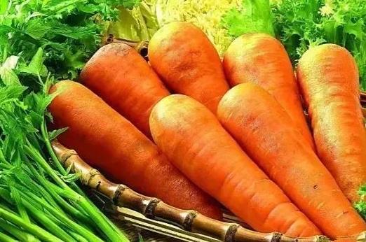 如何挑選紅蘿蔔