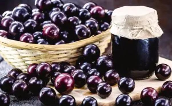 嘉寶果高壓繁殖