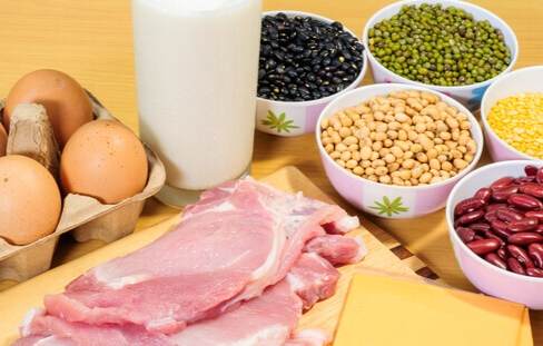 高齡蛋白質補充品