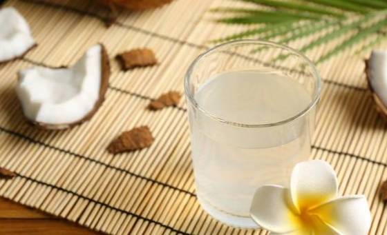 椰子水飲品推薦