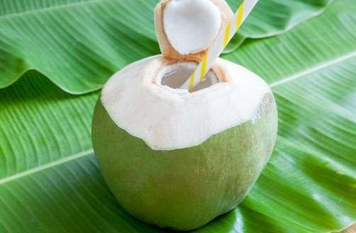 椰子水斷食法