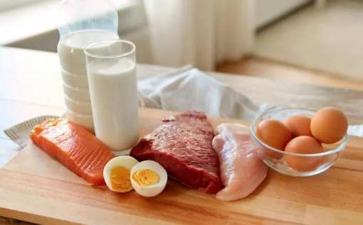 高蛋白食物老人