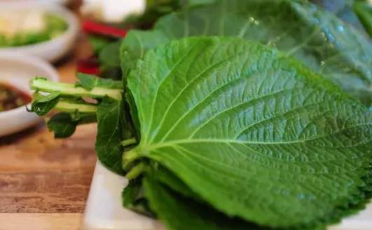 紫蘇葉吃法