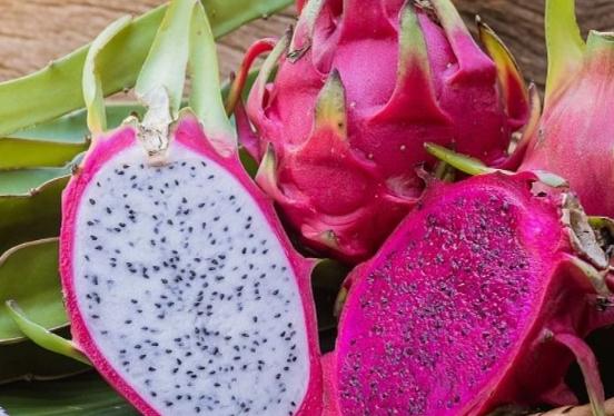 紅肉火龍果營養