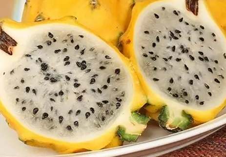 黃金火龍果口感