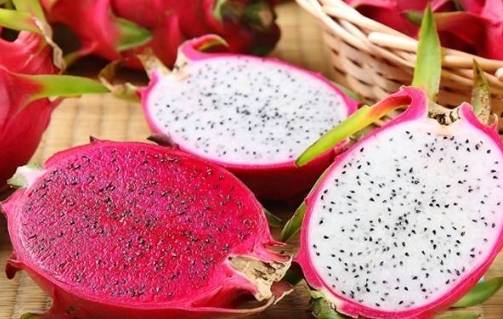 糖尿病 白色火龍果