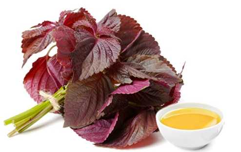 紫蘇油護膚方法