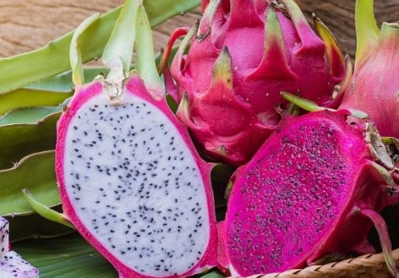 火龍果營養價值