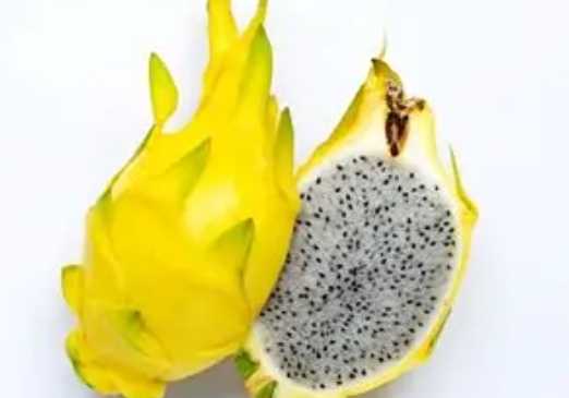 黃金火龍果營養