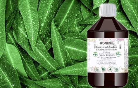 尤加利純露好處