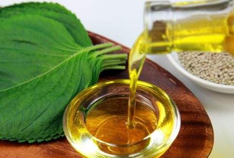 苦茶油紫蘇油比較