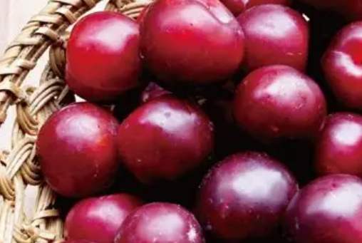 黃肉李子卡路里