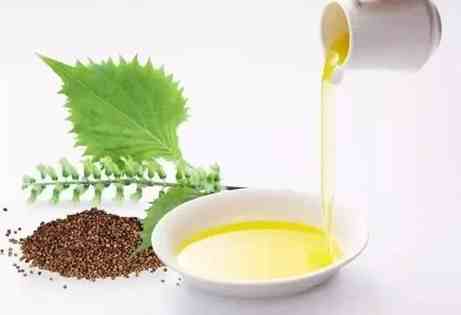 紫蘇油選購指南