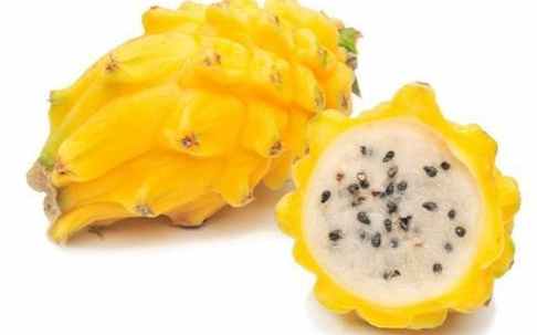 黃火龍果營養