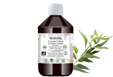 尤加利純露好處