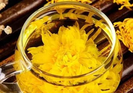 菊花金銀花茉莉花茶