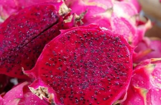 糖尿病 火龍果 食用