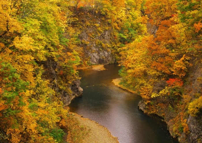 台東溪流玩水 台東溪流玩水