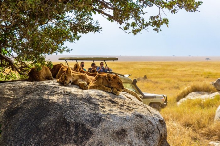 肯亞旅遊準備 肯亞旅遊準備