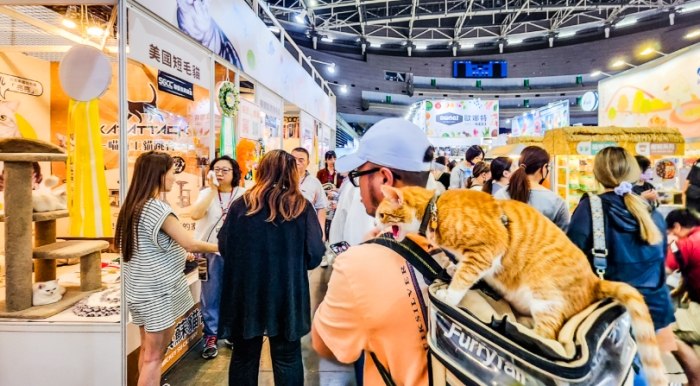 高雄寵物用品 高雄寵物用品