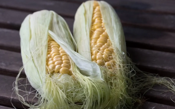 玉米鬚茶好處 玉米鬚茶好處