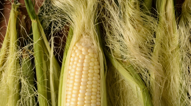 玉米鬚功效 玉米鬚功效