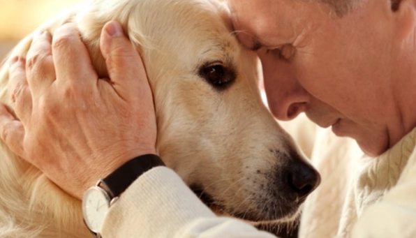 寵物喪失悲傷處理 寵物喪失悲傷處理