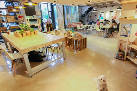 新竹帶狗餐廳 新竹帶狗餐廳