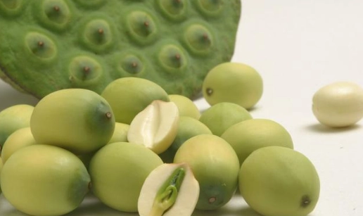 蓮子心泡水 蓮子心泡水