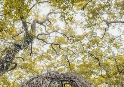 桃園交通攻略 桃園交通攻略