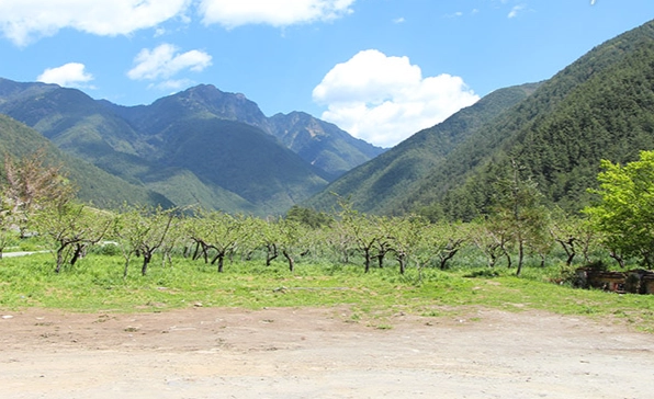 武陵農場旅遊攻略