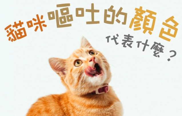 貓嘔吐處理方法