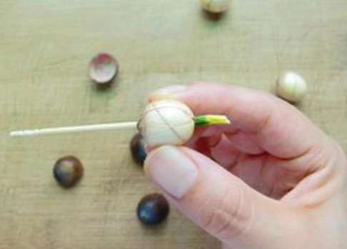 如何去除蓮子芯