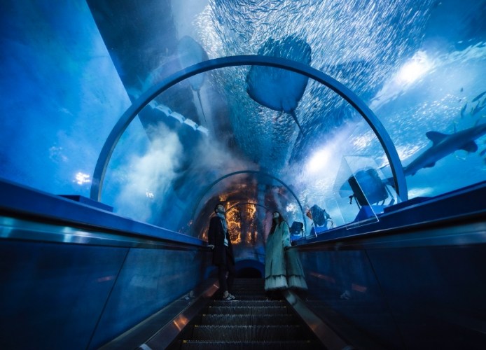 八景島海島樂園門票 八景島海島樂園門票