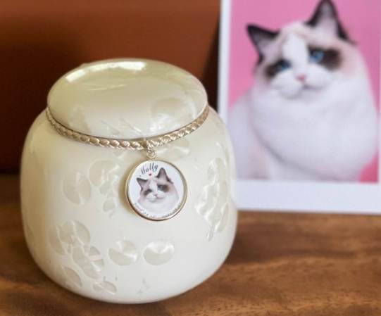 寵物骨灰處理 寵物骨灰處理